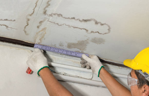 Reliable Flood Cleanup contractor in Stanwood, MI by Water Damage Irwin